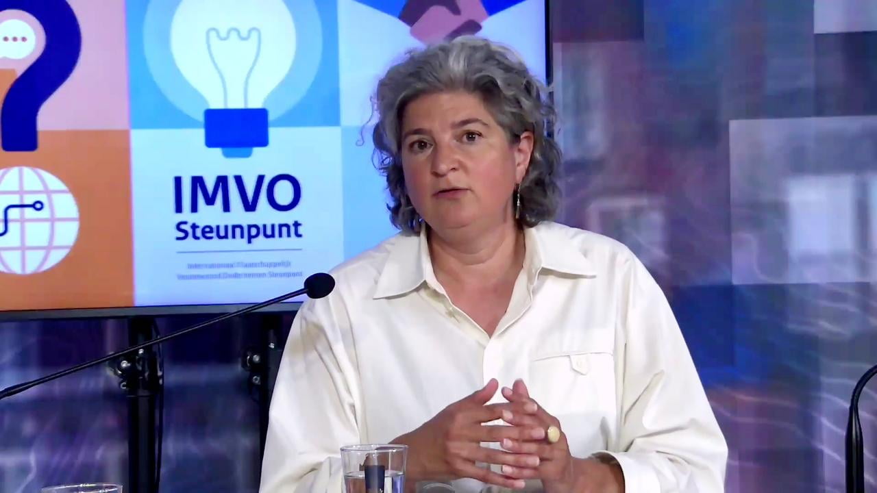 IMVO-steunpunt - webinar international MVO en due diligence - 27 juni 2024