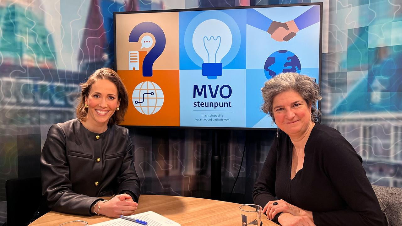 MVO-steunpunt - webinar international MVO en due diligence - 6 februari 2025