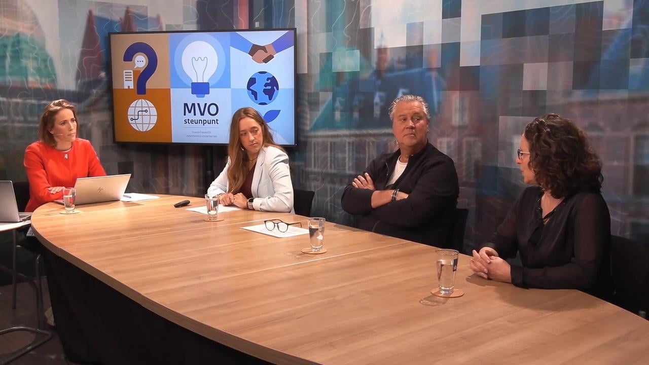 MVO-steunpunt Webinar internationaal MVO en due diligence 13 maart 2025