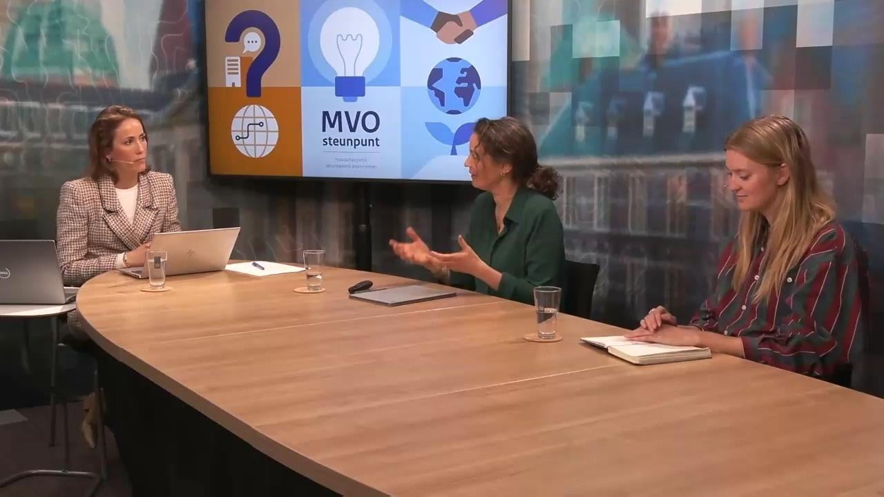 MVO-steunpunt Webinar international MVO en due diligence | 17 april 2025