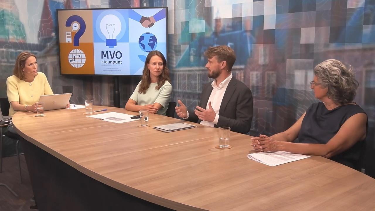 MVO-steunpunt - webinar international MVO en due diligence - 19 juni 2025