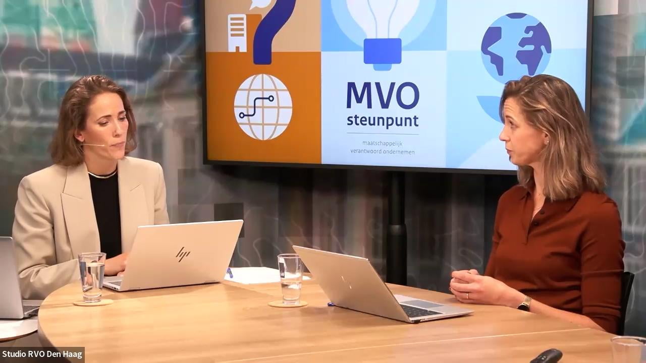 Webinar MVO-steunpunt 25 september 2025 VSME