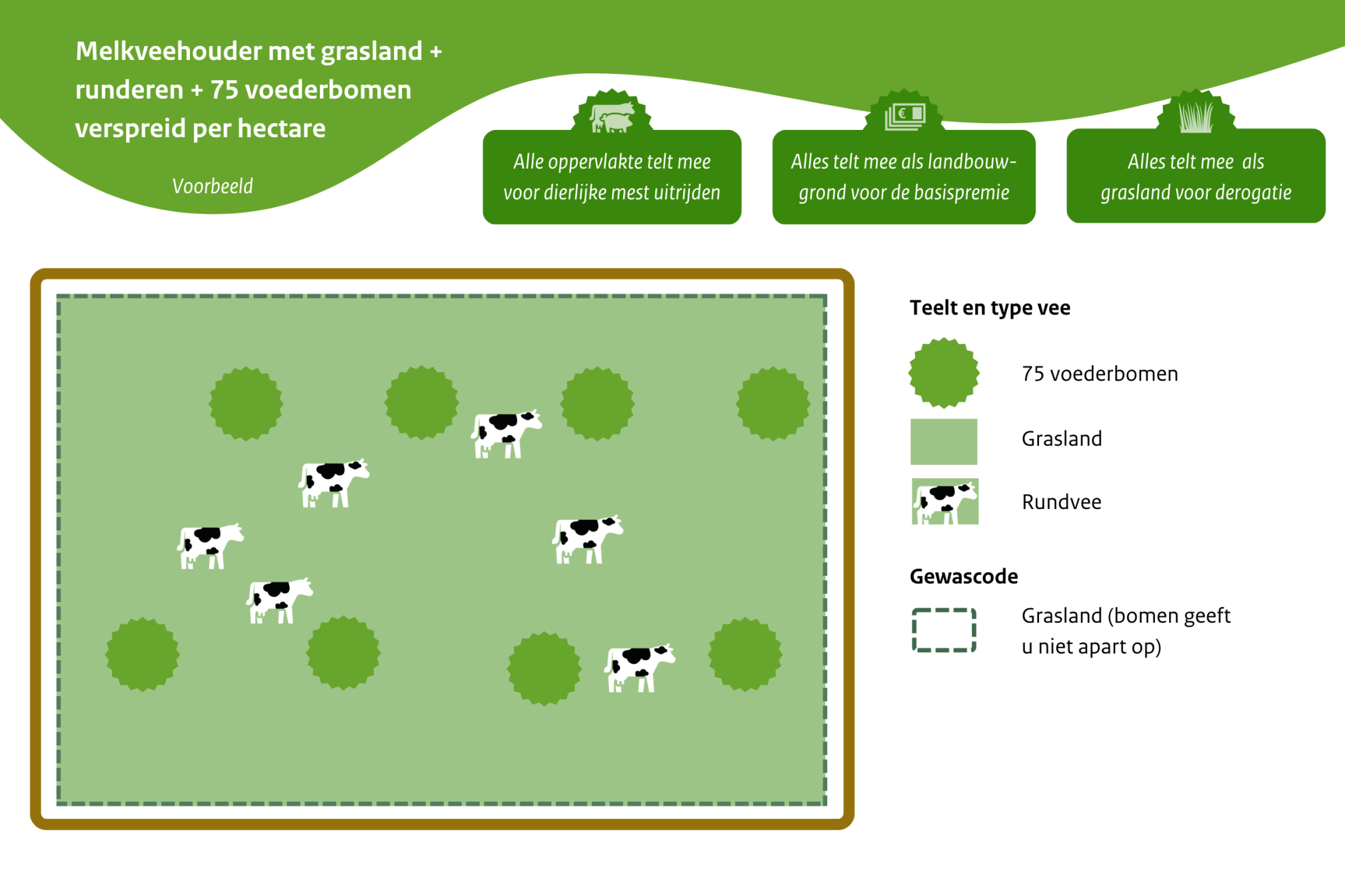 Melkveehouder met grasland + runderen + 75 voederbomen verspreid per hectare