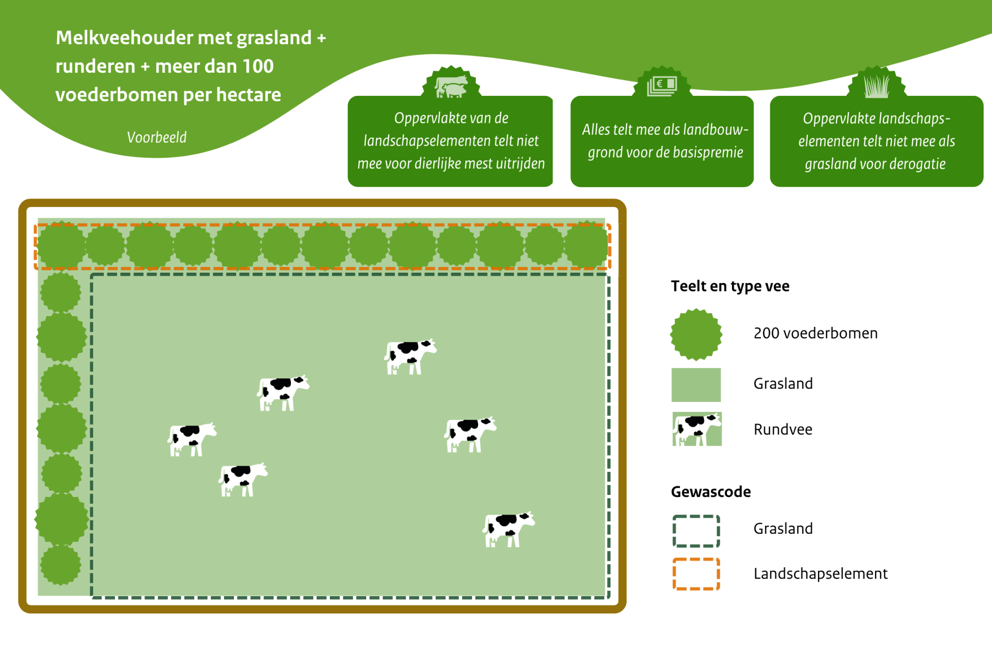 Melkveehouder + rijen met meer dan 100 voederbomen per hectare