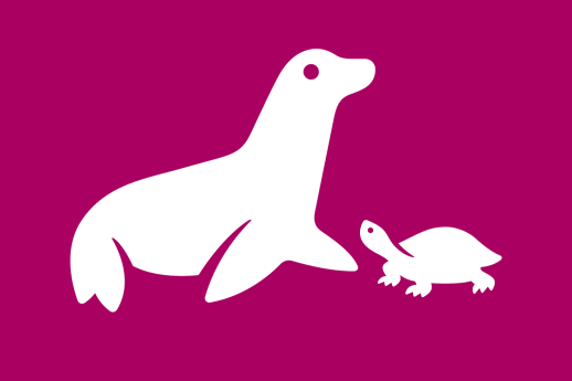 Zeeleeuw en schildpad op een roze achtergrond