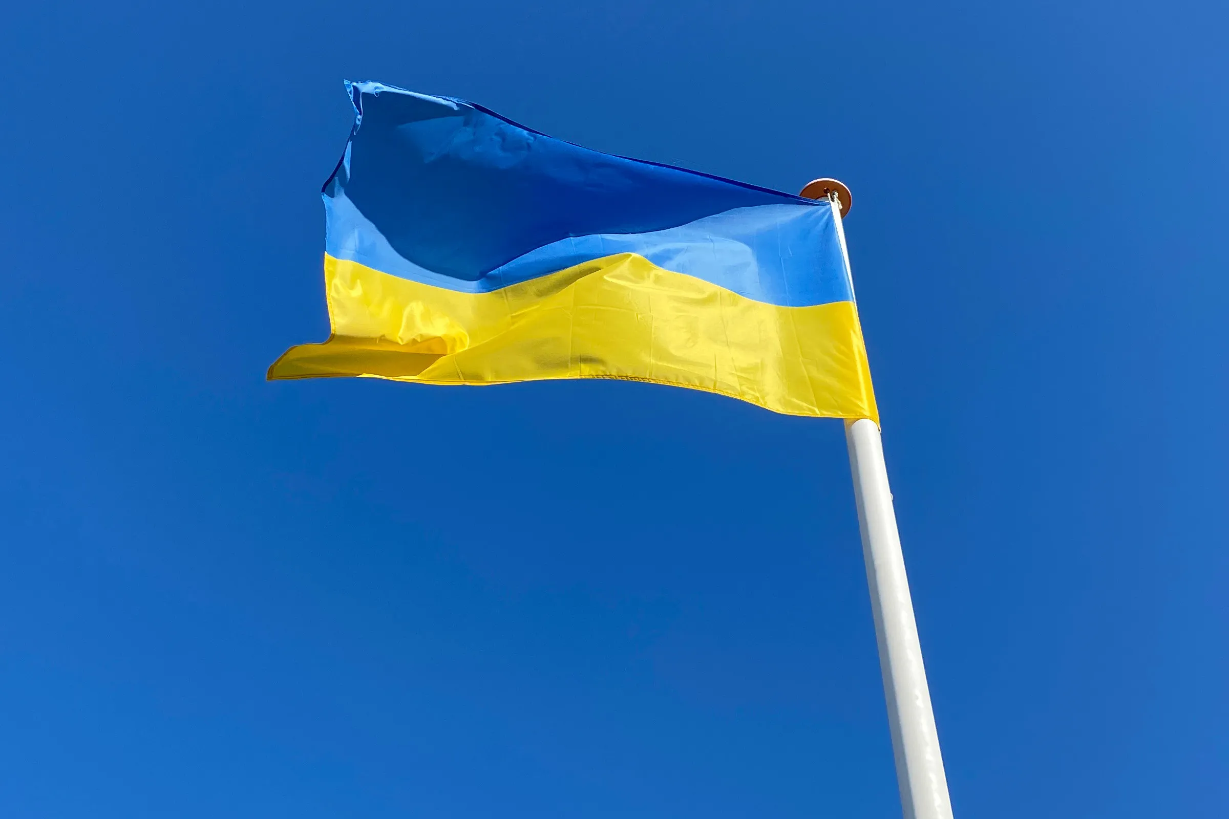 Vlag van Oekraïne