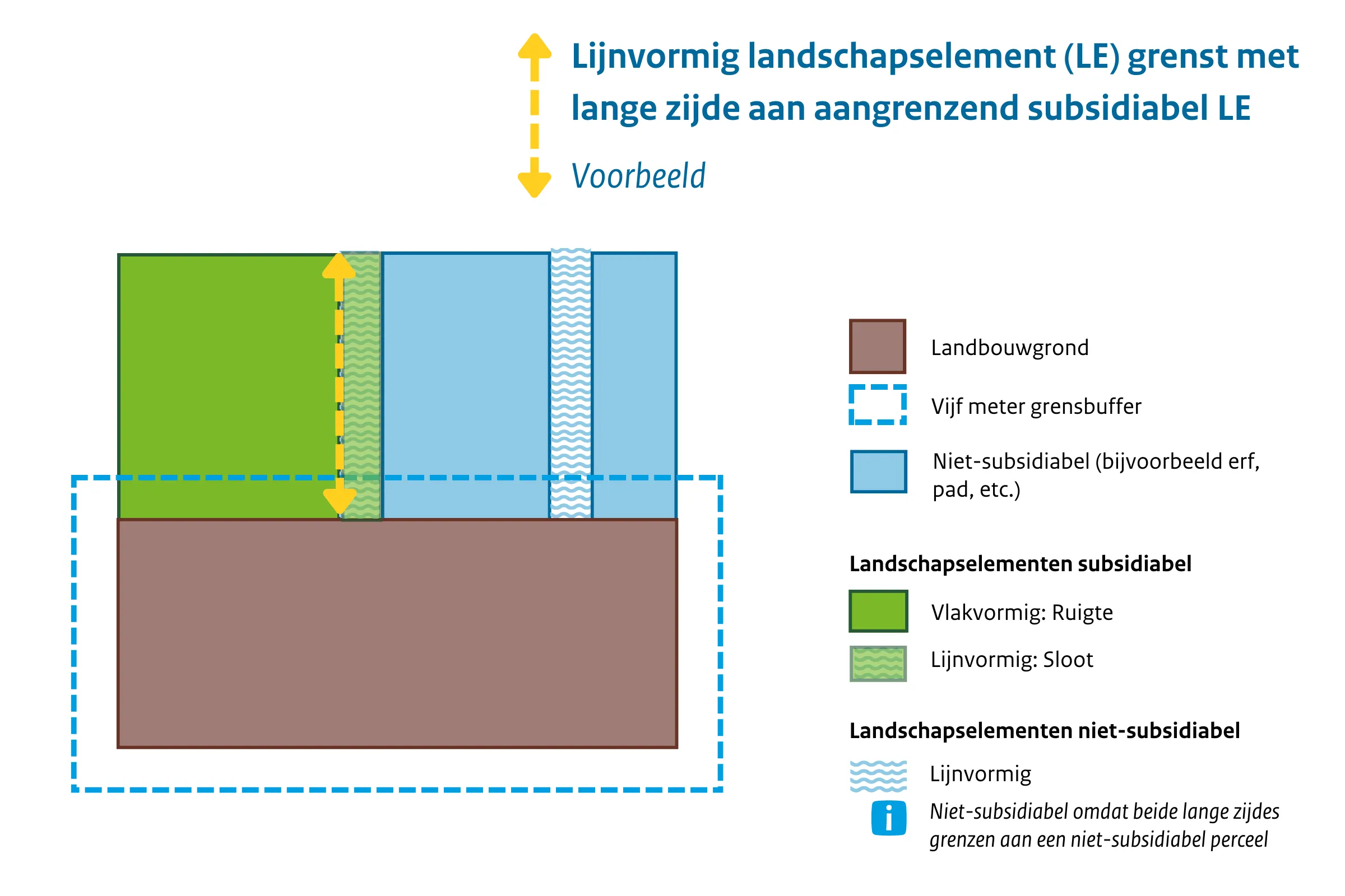 Lijnvormig LE grenst aan lange zijde aan vlakvormig LE