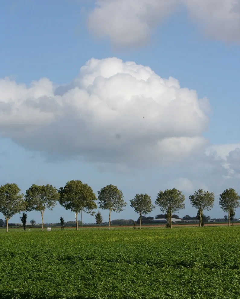 agrarisch landschap