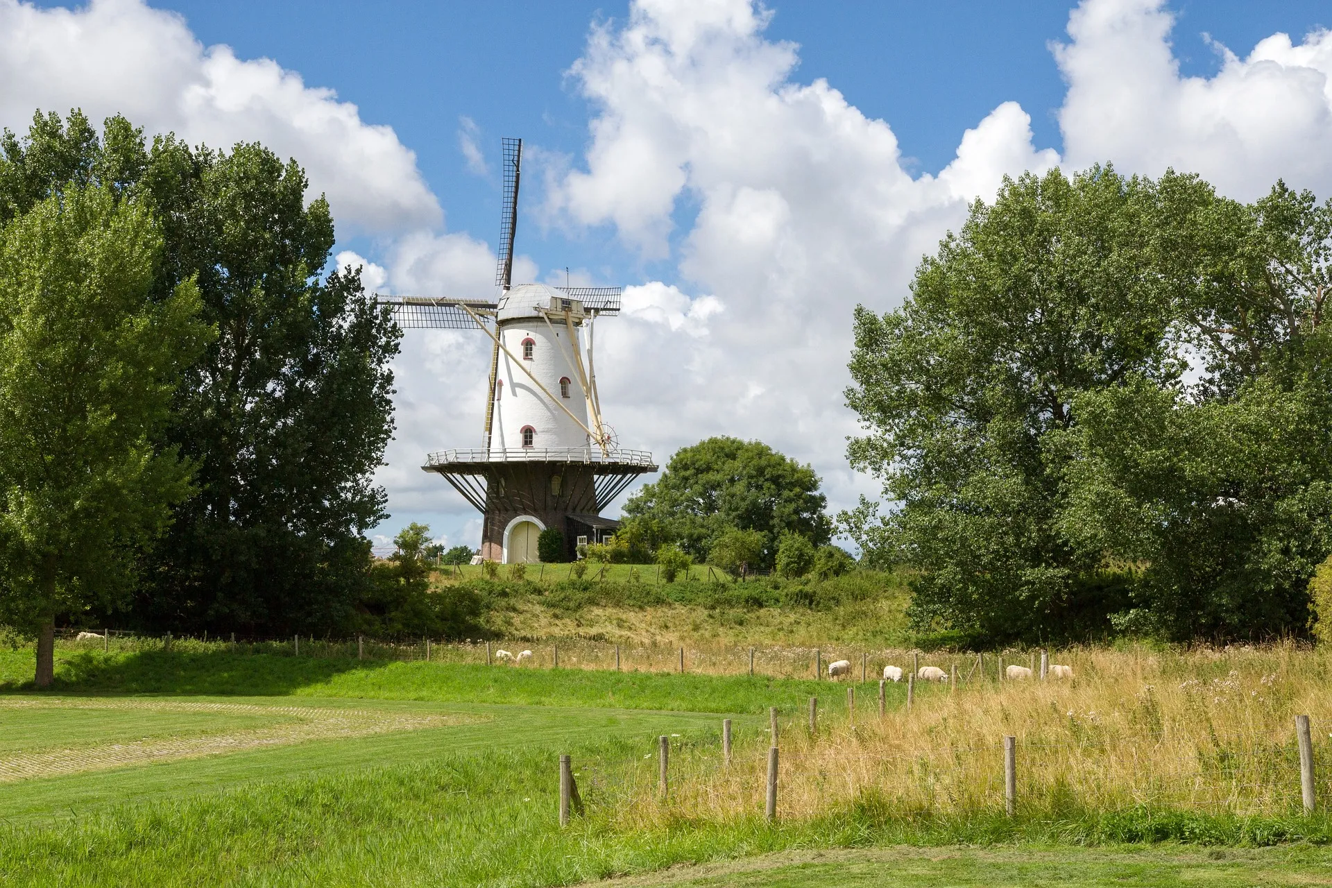 grasland omringd door bomen en op de achtergrond een witte molen