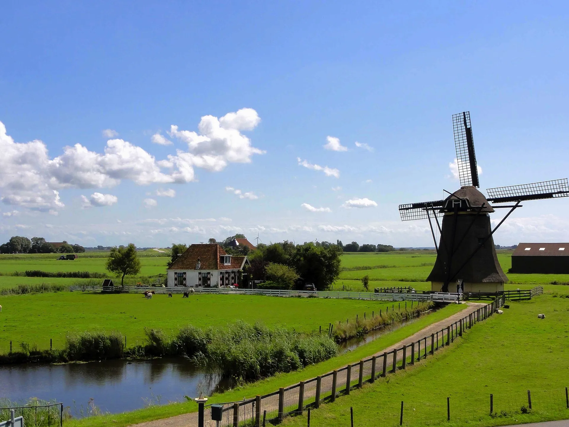 weiland met water op links voor water en daarachter een huisje en een molen
