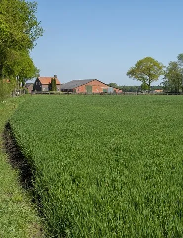 Boerenlandschap met in de verte een boerenbedrijf