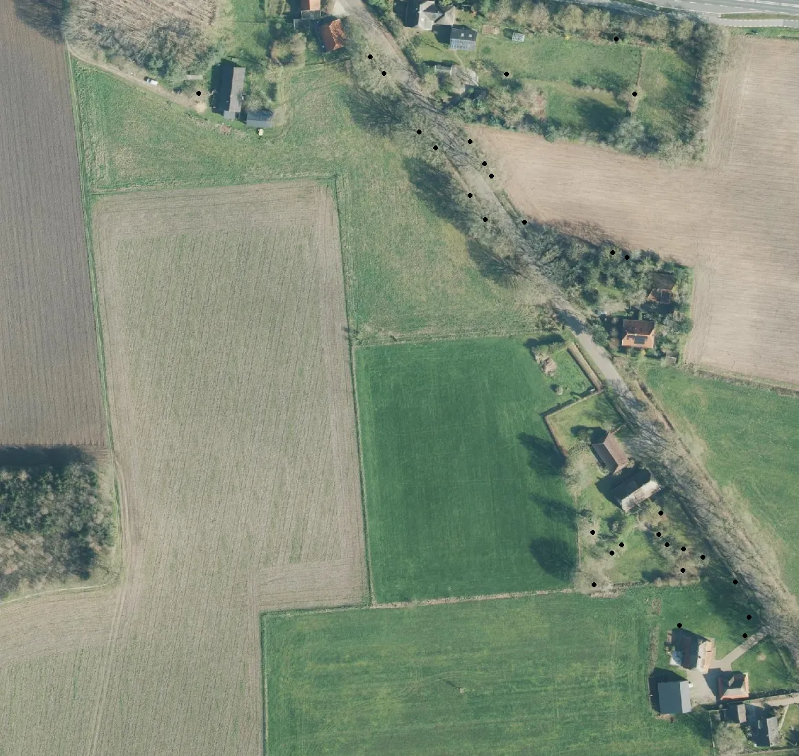 Kaartlaag Bomen in Mijn percelen