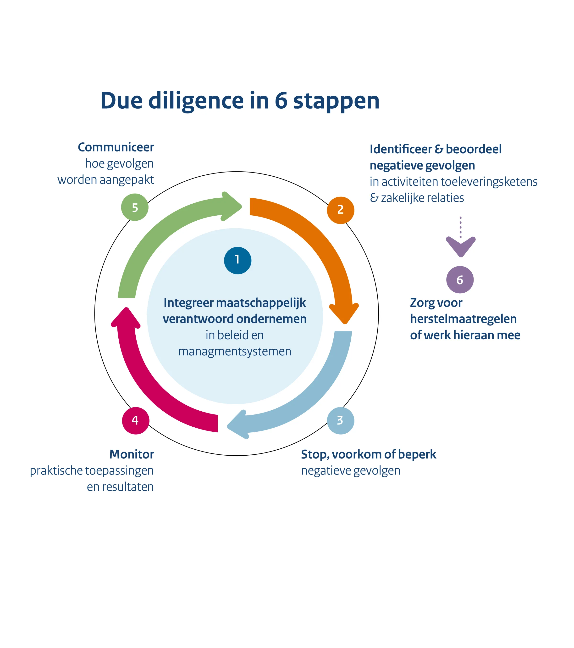 6 stappen van due diligence kort omschreven