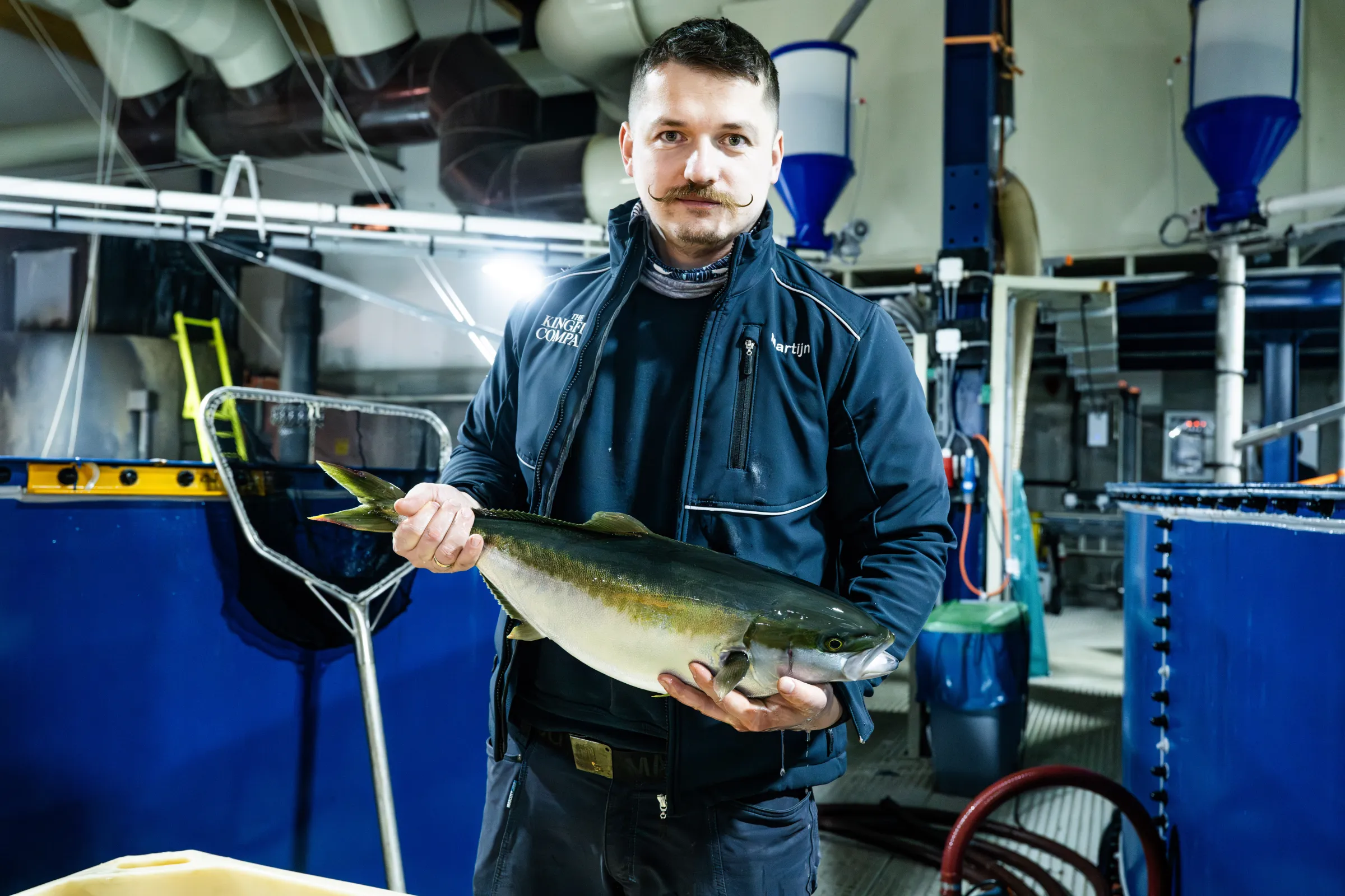 Een medewerker van The Kingfish Company laat een gekweekt exemplaar van de yellowtail kingfish zien.