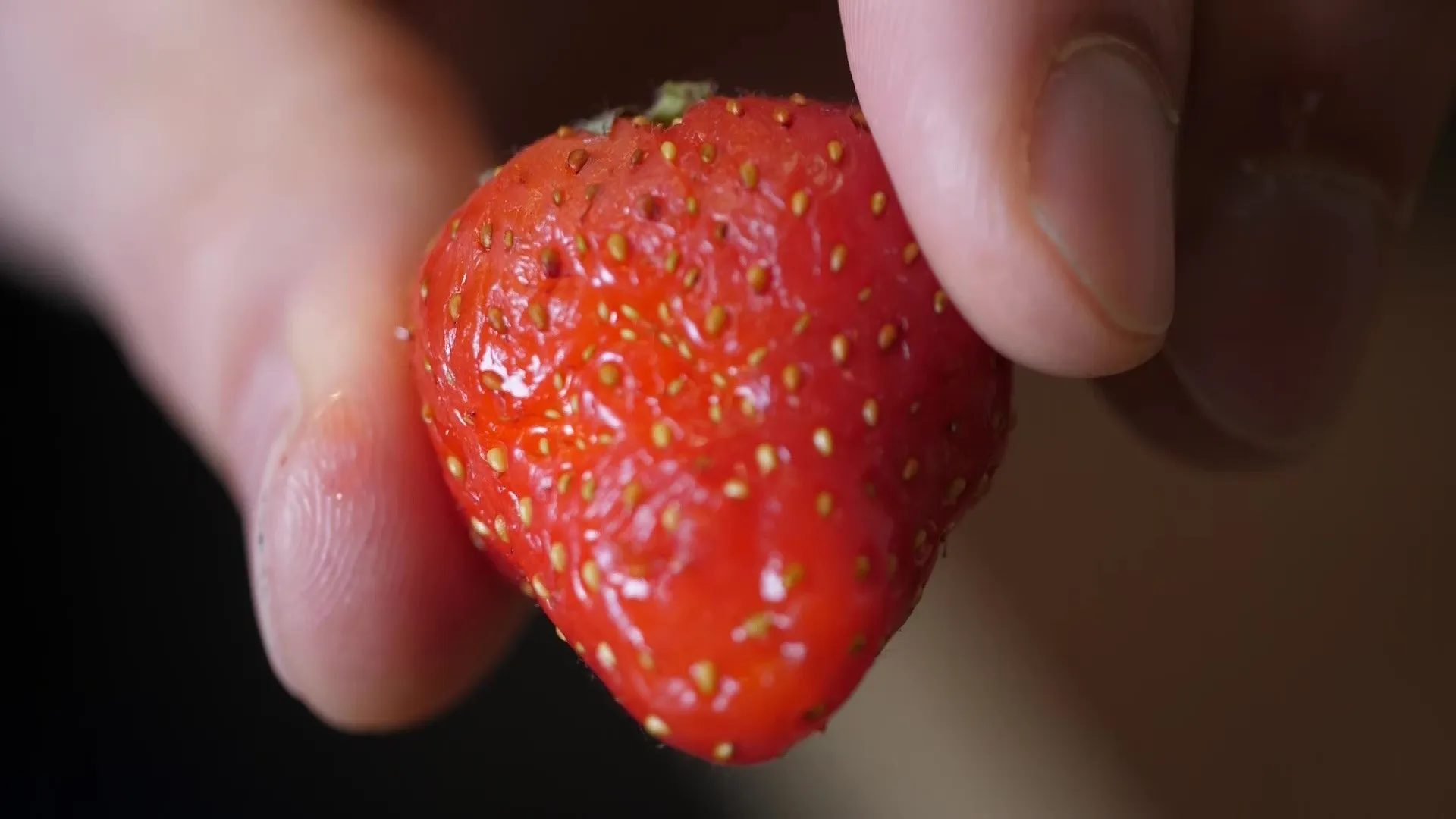 Close-up van een rode rijpe aardbei die tussen duim en wijsvinger wordt gehouden.