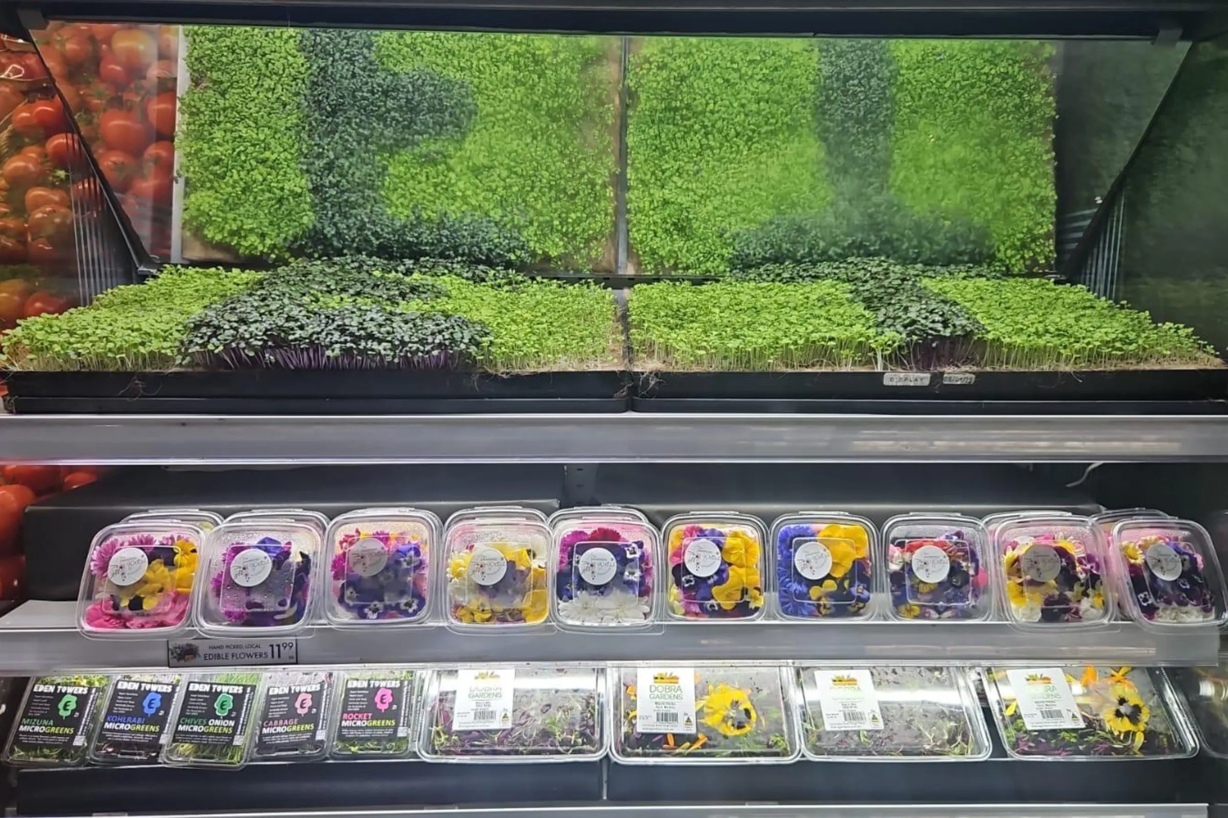 Holland Bio Products