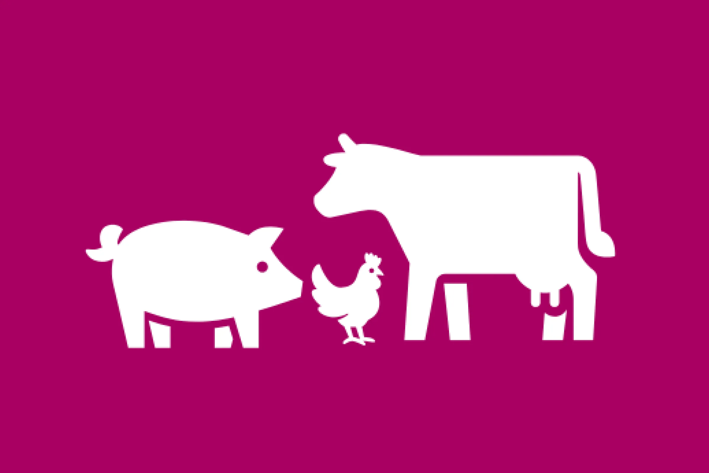 Productiedieren