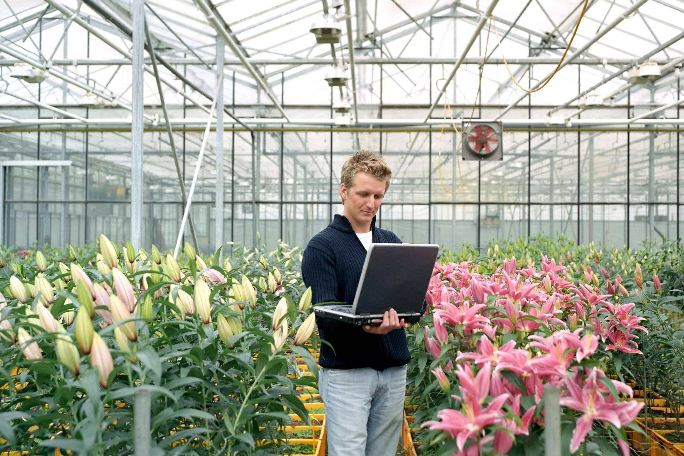 Innovatie in bloemenkas