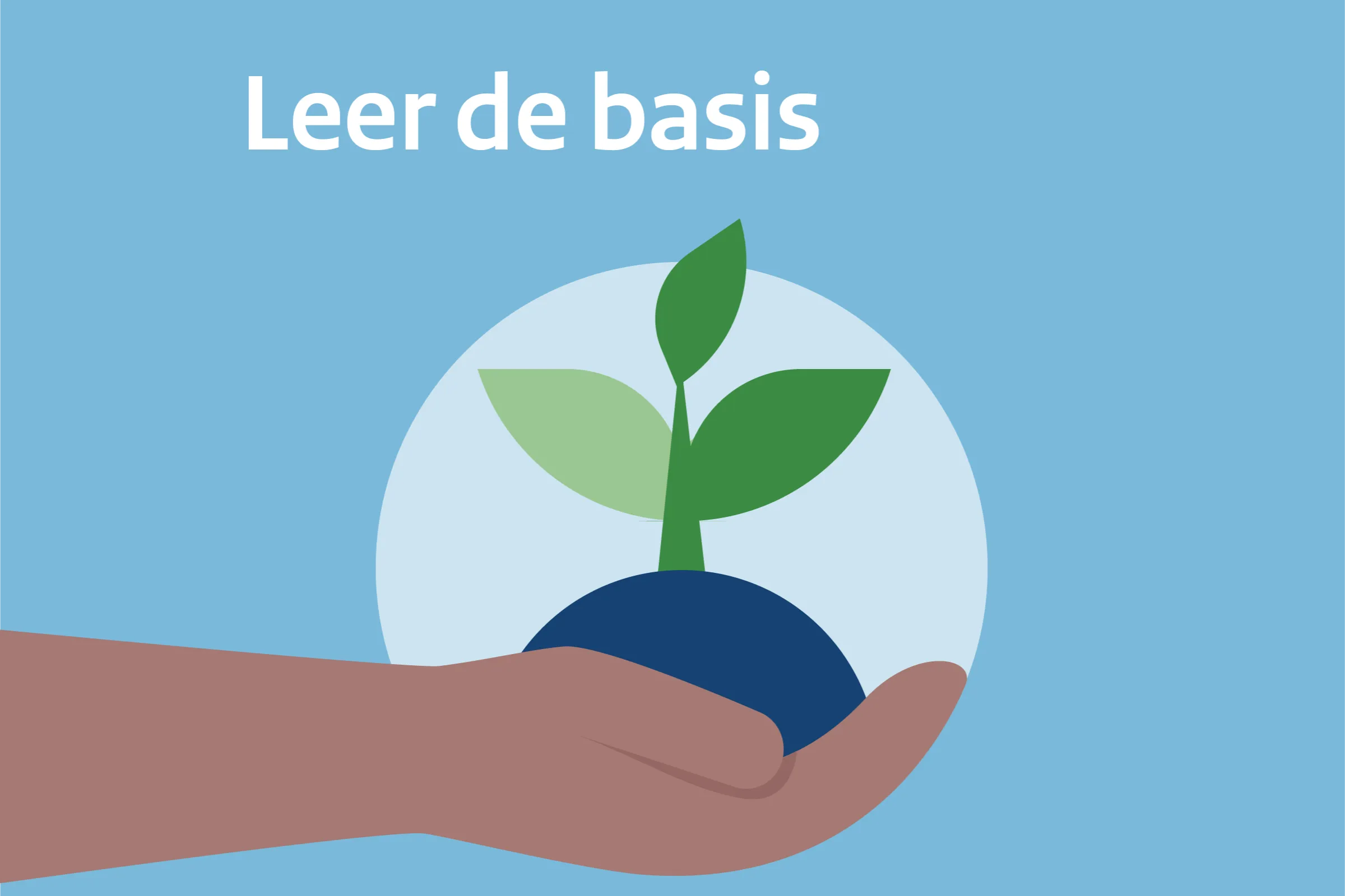 Leer de basis