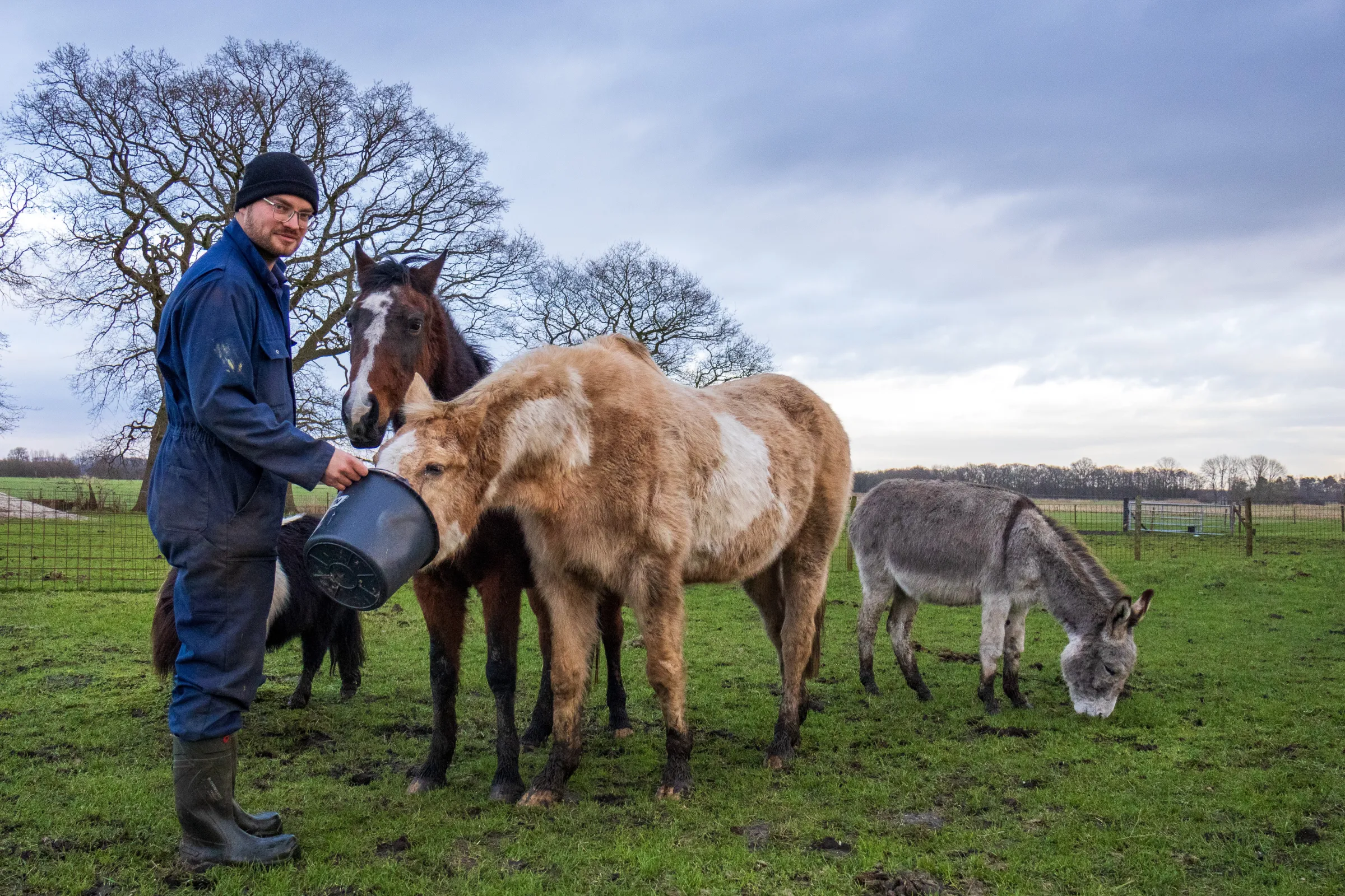 Boer met dieren