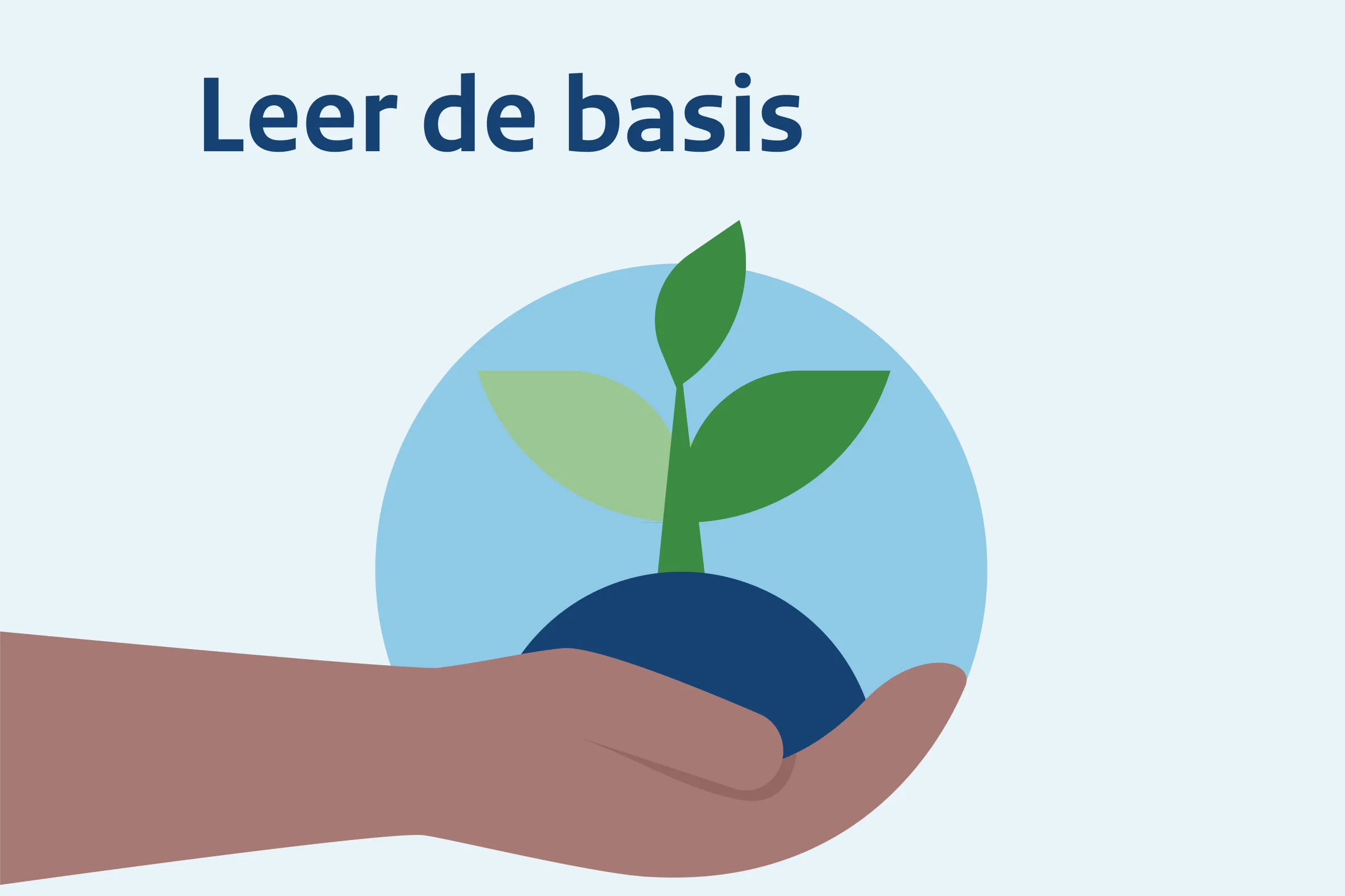 Leer de basis