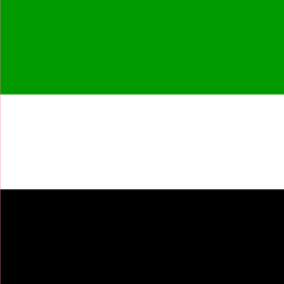 vlag Verenigde Arabische Emiraten