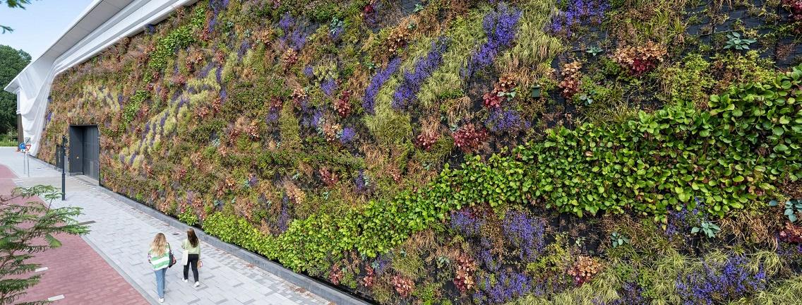 Milieu - Groene gevel - header