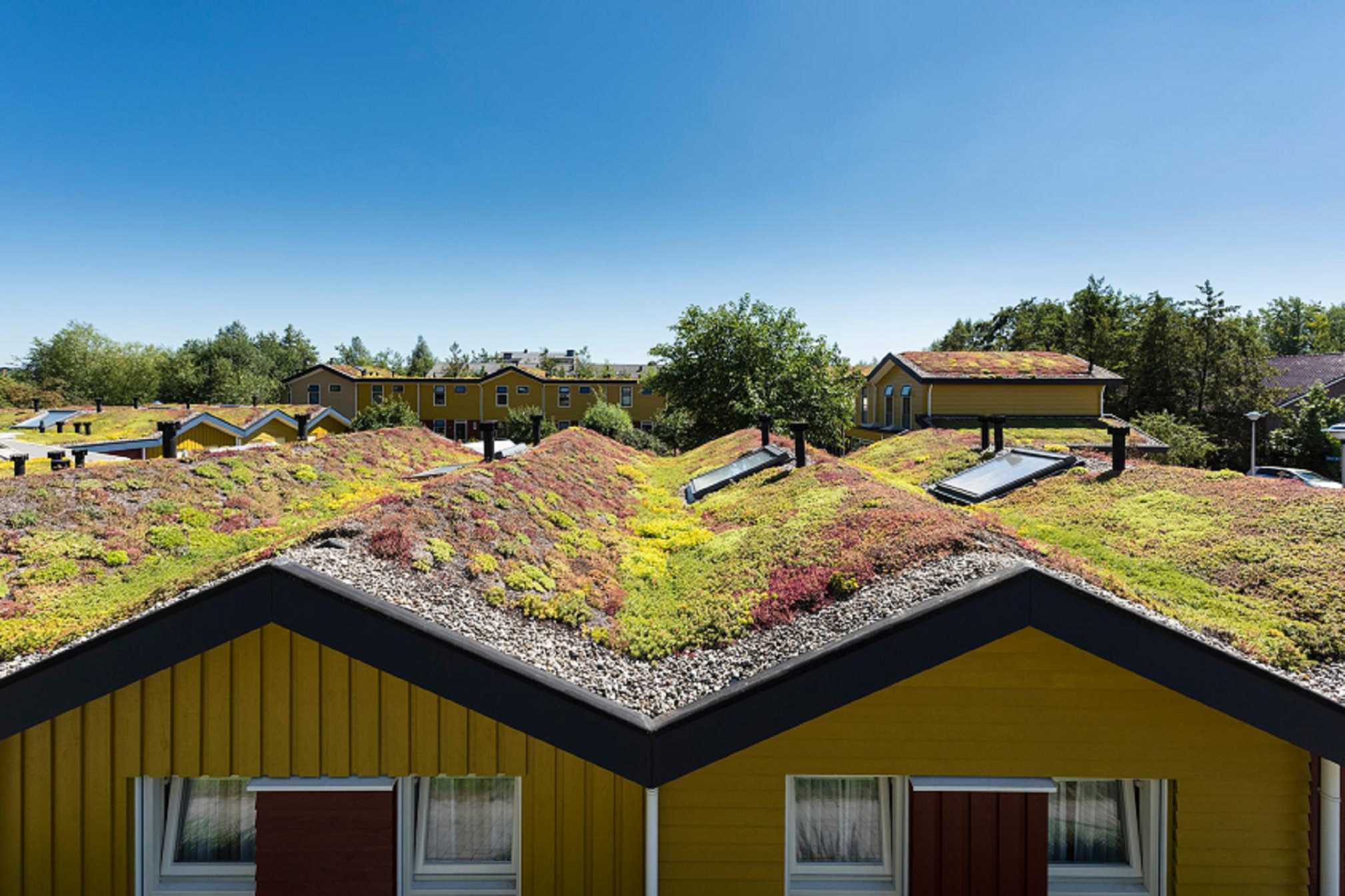 Expertteam Woningbouw Klimaatadaptatie