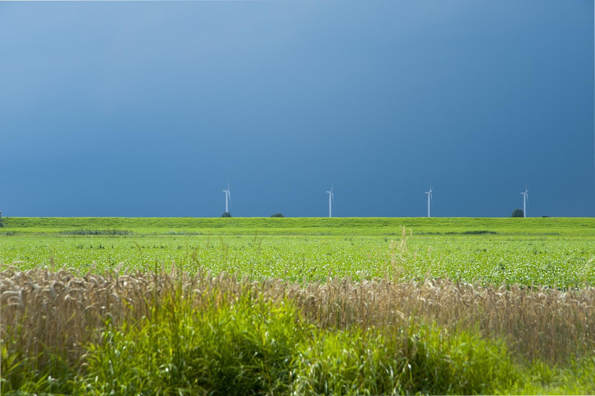 Windmolens op land