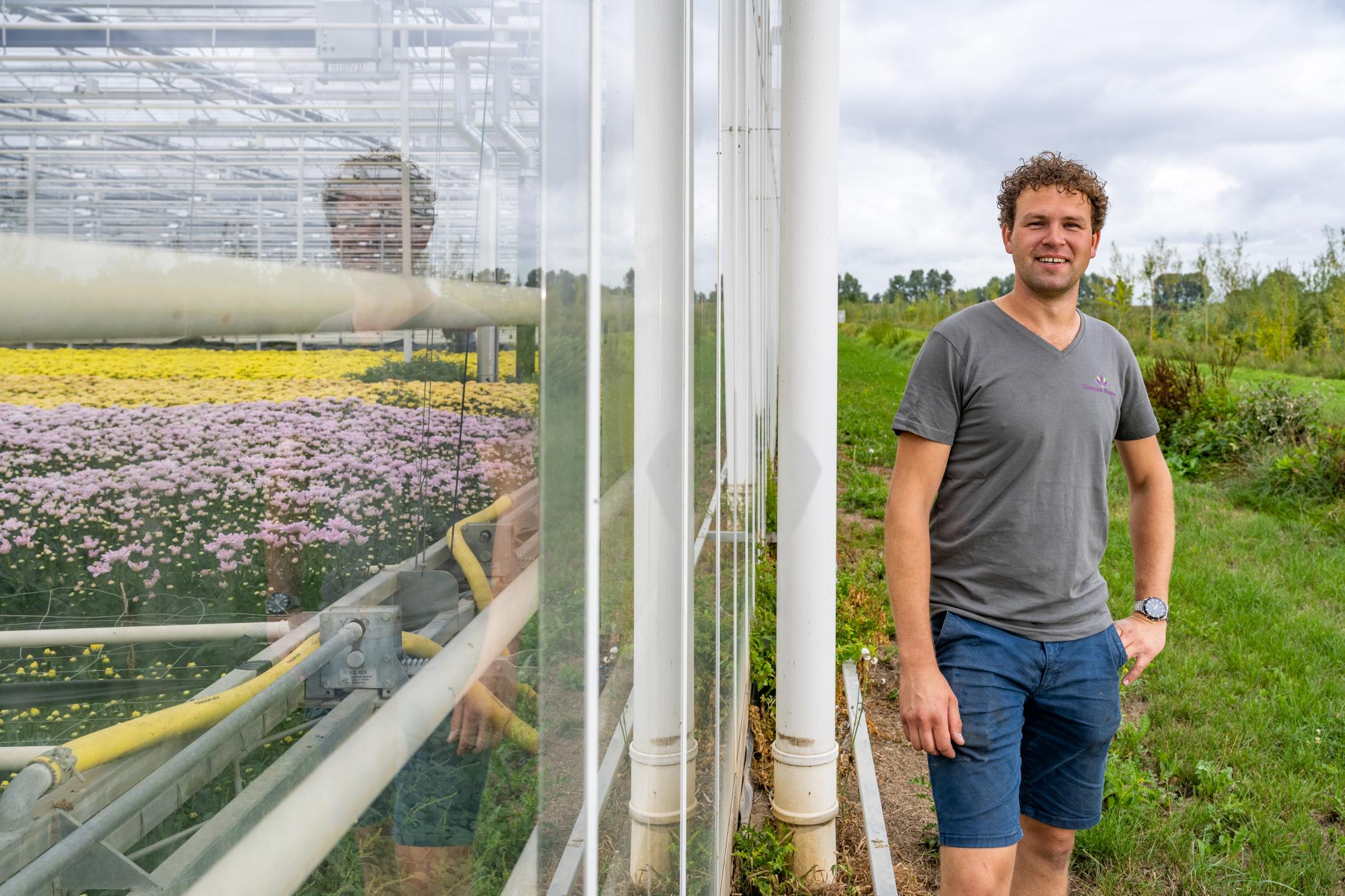 Chrysantenkweker Koen Kreling tussen kas en groenstrook