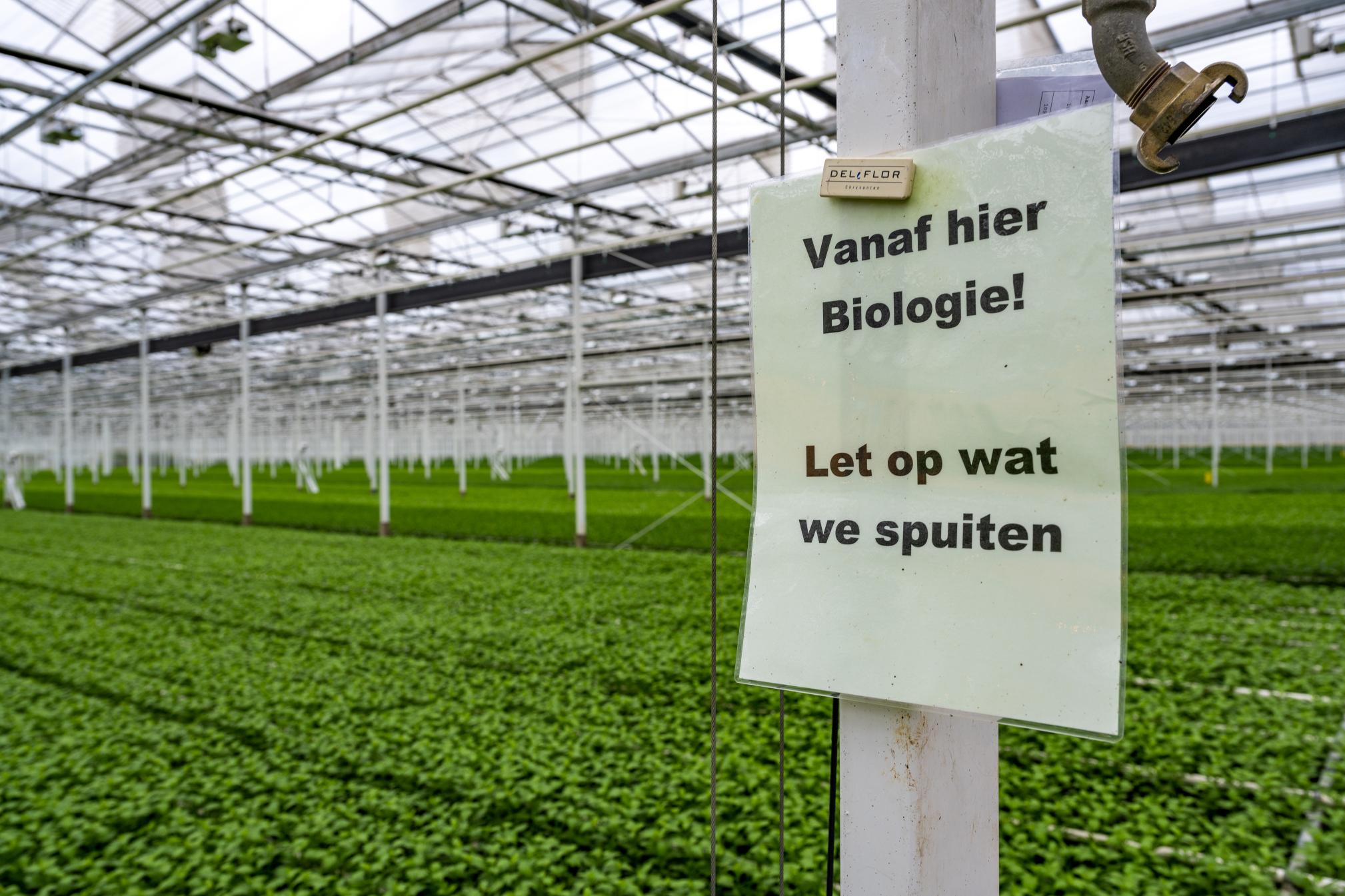 Bloemenkas met aanwijzing over bestrijdingsmiddelen