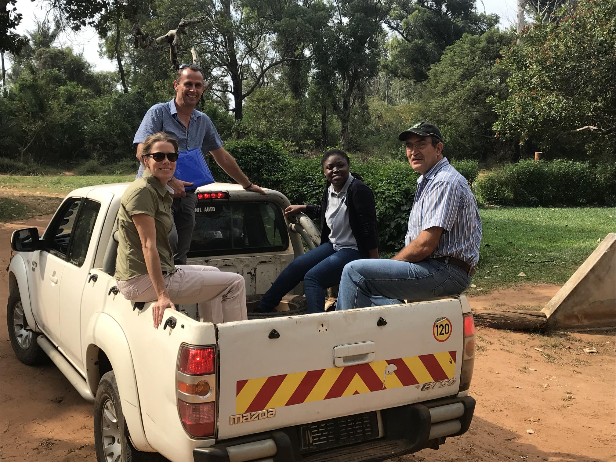Floor in the pickup