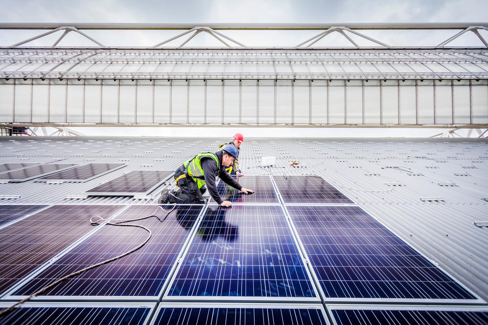 Zonnepanelen