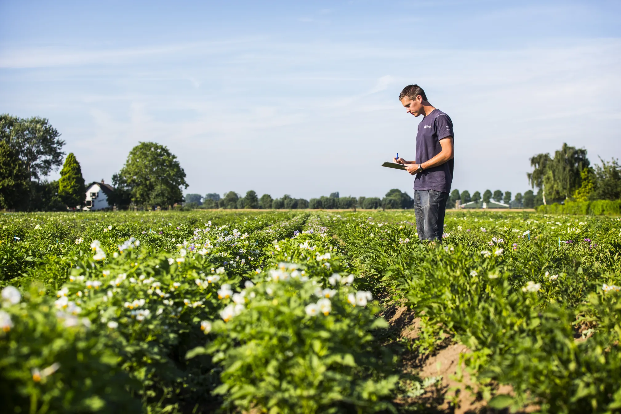 Biologische landbouw - groenprojecten