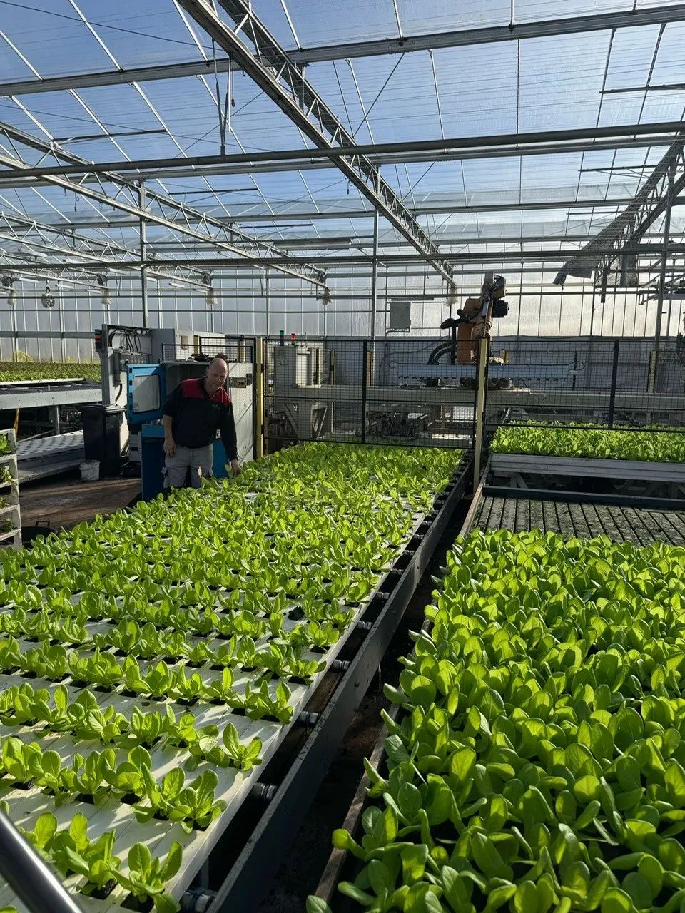 Slakwekerij Deliscious Production