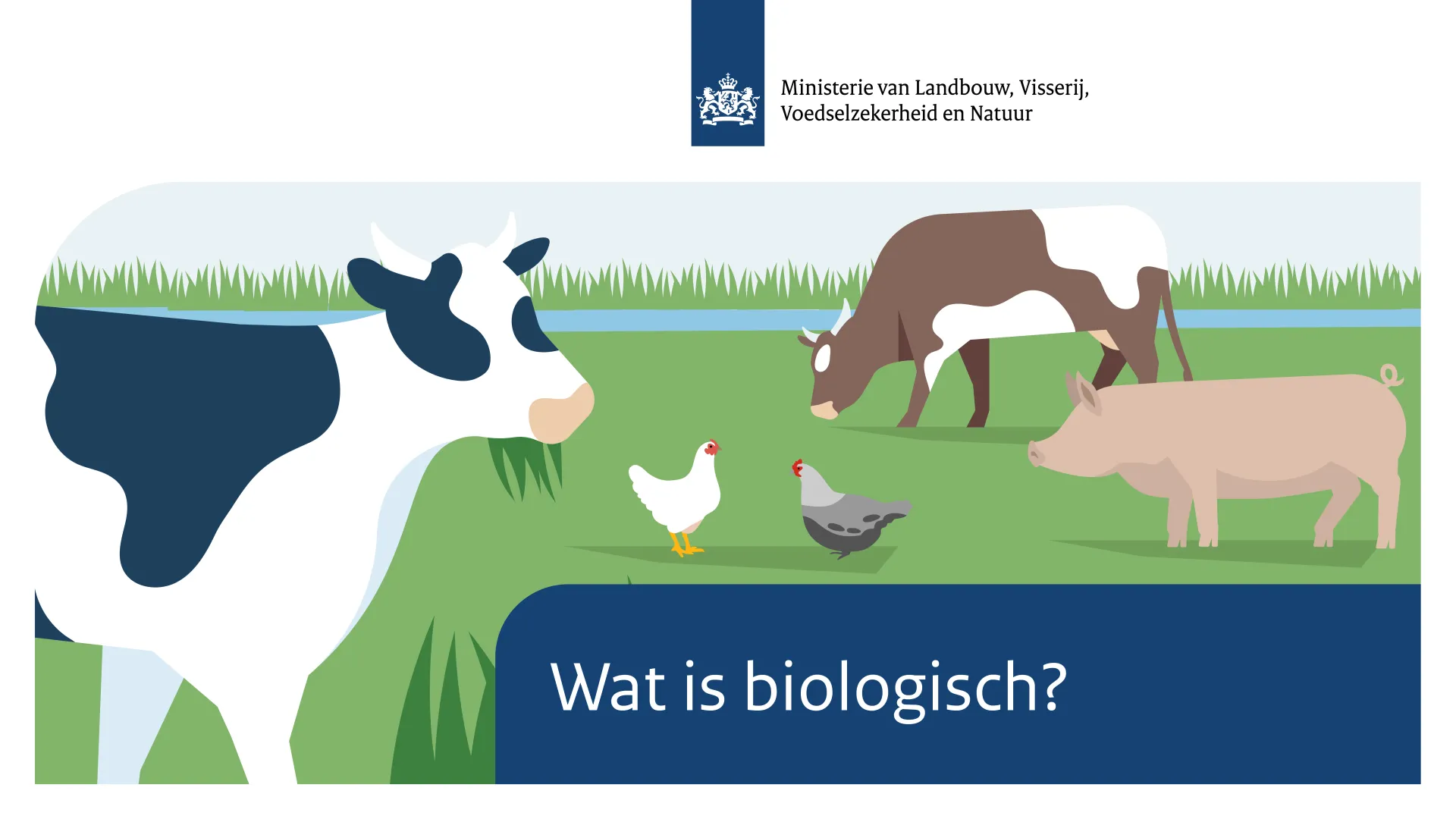 Dieren in de wei